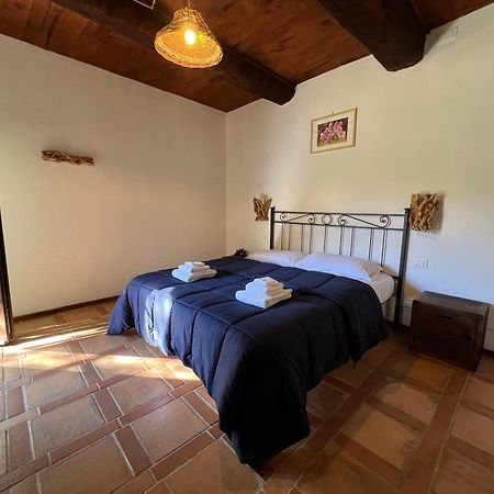 B&B Podere Legnotorto Castel del Piano  Exterior photo