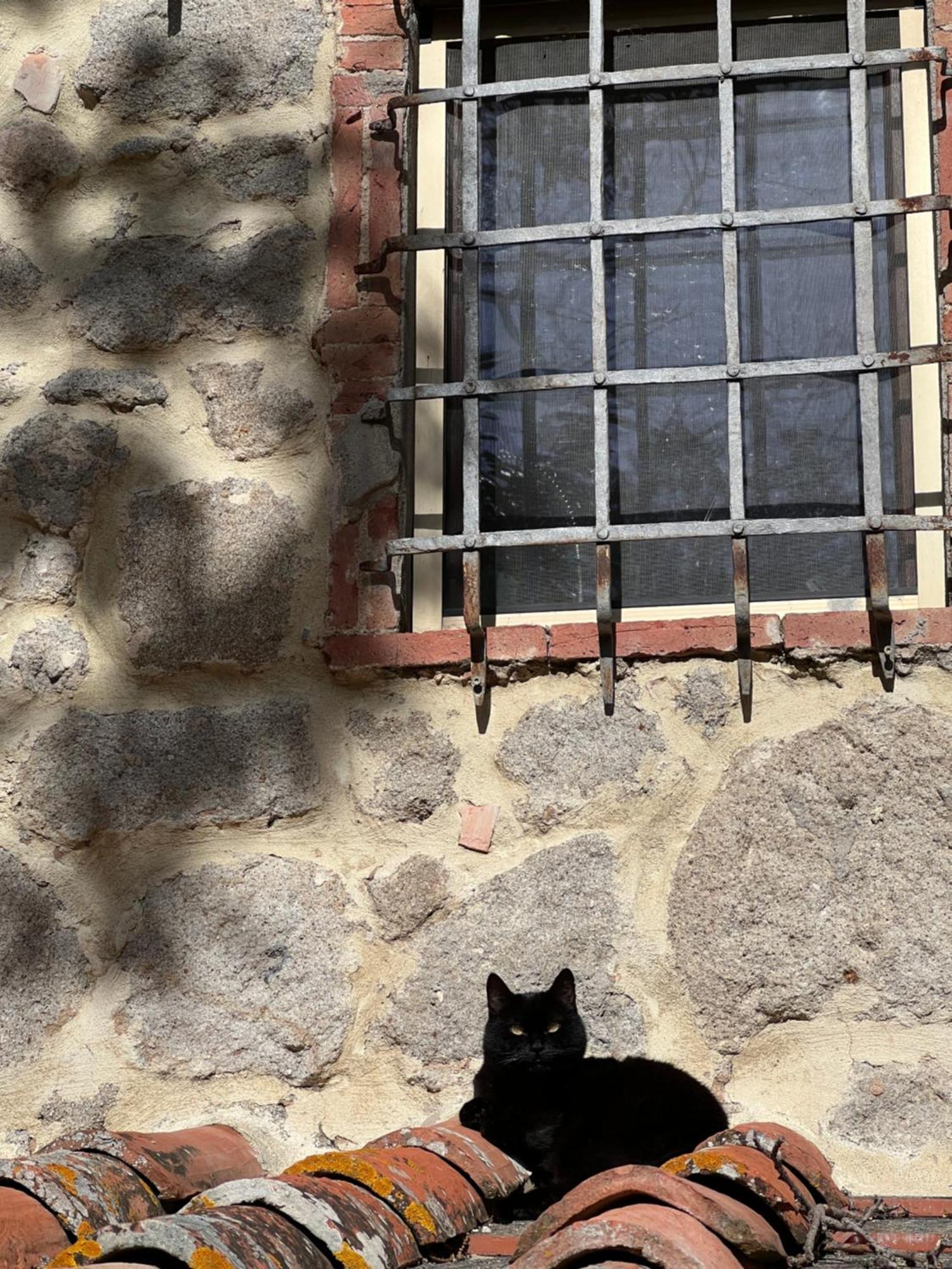 B&B Podere Legnotorto Castel del Piano  Exterior photo