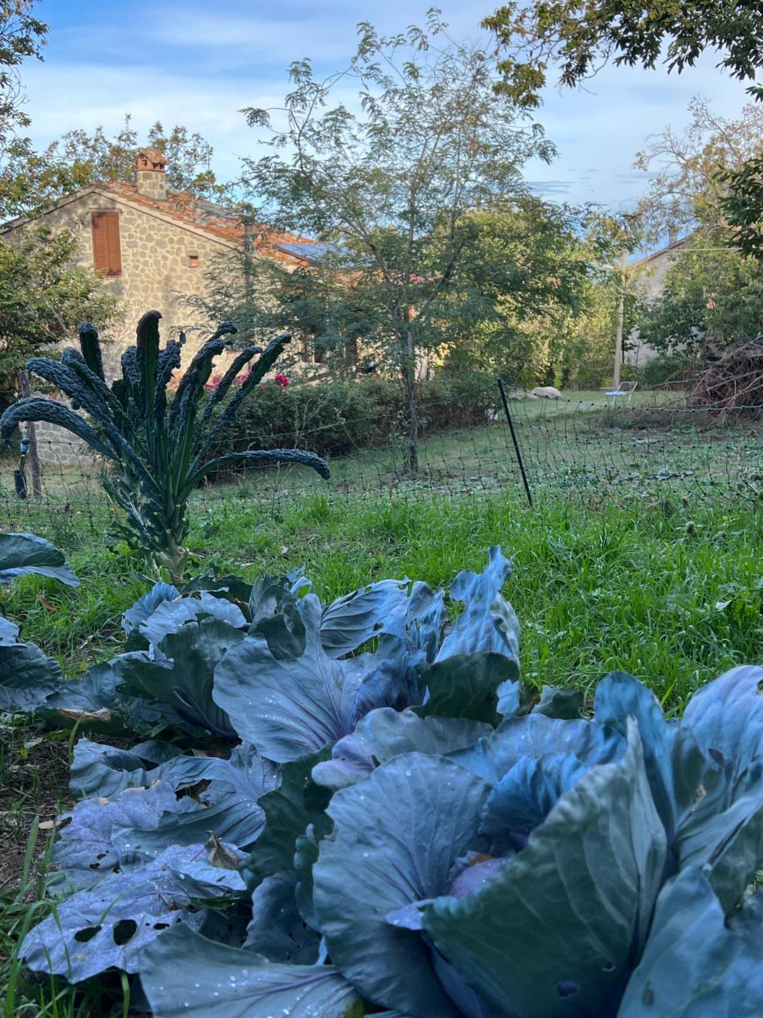 B&B Podere Legnotorto Castel del Piano  Exterior photo
